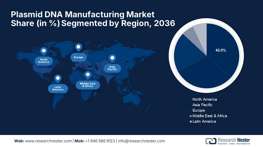 Plasmid DNA Manufacturing Market Share